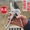 臺灣原裝修枝剪分段式省力剪 剪切直徑3cm 果樹修枝剪 園藝工具剪
