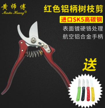 修枝剪、果樹剪、園藝剪、樹枝剪刀、園林剪、黃師傅園林工具