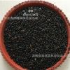 新采收樹木種子 白花椒種子 花椒種子 藤椒種子 量大優(yōu)惠
