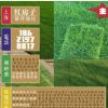 綠化用草坪 選矮生百慕大 又叫果嶺草 草質(zhì)優(yōu)美易管理維護