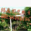 凌霄 果樹(shù)木花卉木 園林綠化木.常綠喬木.灌木