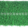廠家直供塑料人造假草皮 仿真假草 人工草皮 加密米蘭草皮墻批發