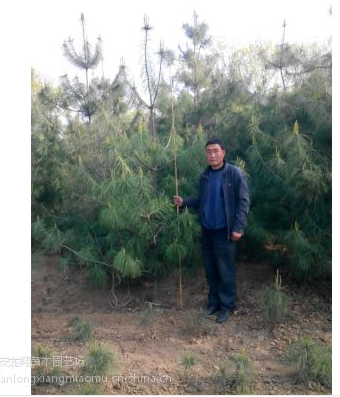 TIM截圖20180529142022