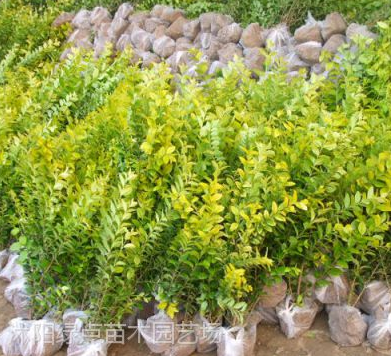 TIM截圖20180529142340