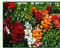 TIM截圖20180607153651