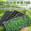 育苗盤(pán) 穴盤(pán)種植芽苗菜托盤(pán) 多肉箱 營(yíng)養(yǎng)缽 加厚蔬菜可端200孔穴