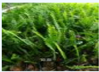 TIM截圖20180613103505