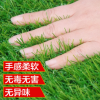 裝飾品人造草坪仿真草坪假草坪幼兒園人工草皮塑料戶外裝飾綠色地
