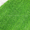 鎮江 草皮 25MM加密草綠色 景觀草 草皮
