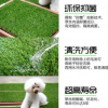 廠家直銷寵物人造仿真草坪狗墊子寵物墊狗狗窩貓墊子專用草坪批發(fā)
