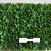 批發(fā)定制仿真假草坪 室內(nèi)裝飾景觀加密草皮墻 仿真植物墻背景墻