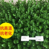 仿真草坪尤加利加密草皮墻仿真植物墻仿真假草皮塑料裝飾景觀草坪