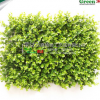 仿真大金錢葉草坪 仿真植物草墻 綠植草皮 仿真植物 廠家直銷