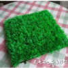 廠家直銷塑膠人造草皮 仿真米蘭四腳草松針草坪批發(fā)