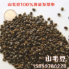 批發(fā)石質粗生- 山毛豆100%保證發(fā)芽率