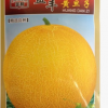 水果種子 益豐黃旦子哈密瓜 黃皮綠肉 香甜可口 早熟高產 10g彩包