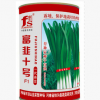 蔬菜種子 富生韭菜 富韭十號韭菜種子 葉片肥厚高產耐高溫500g/盒