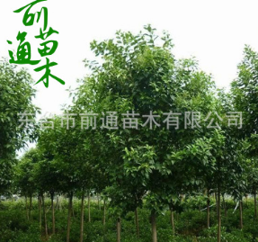 QQ截圖20180829140221