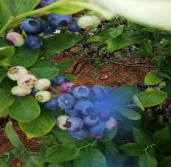 QQ截圖20180830162651