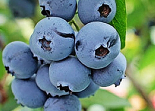 QQ截圖20180830173506