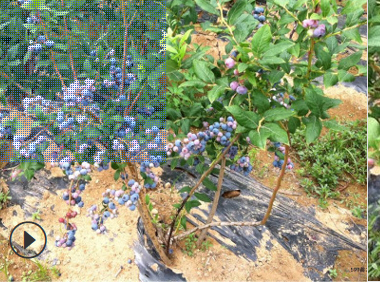 QQ截圖20180830173527