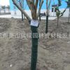 廠家供應(yīng) 樹(shù)木養(yǎng)護(hù)帶 植物繃帶園林苗木防寒布園林綠化包樹(shù)毯