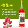 暉皇園林養(yǎng)花專用營養(yǎng)液水培土培花卉肥料蘭花牡丹有機(jī)花肥催花王