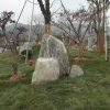 供應(yīng)太湖石，景觀石，千層石 供應(yīng)太湖石，千層石，假山