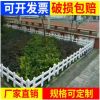 花園花壇pvc草坪護欄 綠化帶圍欄 公園綠化隔離柵欄 景觀圍欄廠家