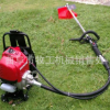 廠家直銷手推式汽油草坪機(jī) 園林綠化修剪工具