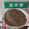 廠家批發(fā)草坪種子 高羊茅種子 出芽率高耐踐踏高羊茅草皮種子