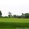 基地批發銷售果嶺草草坪 供應優質果嶺草四季常青草坪量大從優