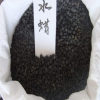 水蠟種子 小水蠟 小葉女貞水蠟批發新采林木種子 實體店鋪批發