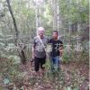 老潘花木場為您提供優質的白樺樹桿 白樺樹皮 白樺附屬產品