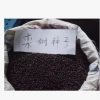 批發(fā)新采欒樹種子 黃山欒種子 北京欒種子 南欒種子