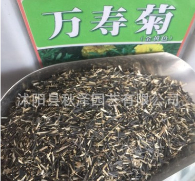 批發(fā)優(yōu)質(zhì)萬壽菊種子草花種子萬壽菊花卉種子量大優(yōu)惠品質(zhì)保證