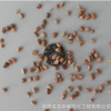 綠在耀種業(yè) 批發(fā)林木花卉種子 香港秀麗四照花種子