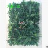 仿真植物墻草坪 綠化裝飾草坪 公園 酒店主題 裝飾植物墻廠家直銷