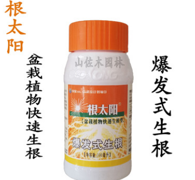 根太陽(yáng)植物龍盆栽植物生根劑100ML爆發(fā)式生根每瓶可兌水180公斤