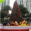 大型圣誕節(jié)云杉 專(zhuān)供在商場(chǎng)觀賞 真樹(shù)才有意義 3 4 5 6米圣誕云杉