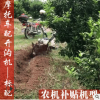 農(nóng)機(jī)補(bǔ)貼宗申動力小型輕便多功能除草松土機(jī)旋耕機(jī)果園開溝起壟機(jī)