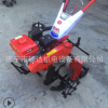小型果園汽油微耕機(jī) 農(nóng)業(yè)機(jī)械直連式松土機(jī) 施肥水田犁地旋耕機(jī)