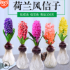 風信子種球套裝 冬季水培水養(yǎng)花種子盆栽植物室內土培四季開花