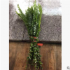 廠家批發7叉波斯葉 蕨葉排草小把束植物 波斯草