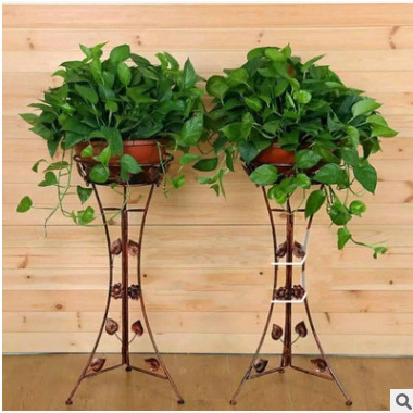 360 廣州 綠蘿 綠色花草植物花卉園林資材盆栽批發綠航辦公室