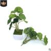 仿真綠植植物小荷葉 金錢葉 銅錢草 仿真花盆景仿真荷葉 仿真綠葉