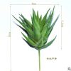 仿真多肉植物 迷你條紋蘆薈 塑膠綠植裝飾盆景盆栽 室內客廳插花