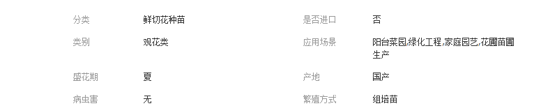 QQ截圖20190411103647