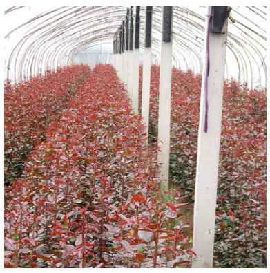 QQ截圖20190411103740