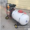 園林果樹(shù)高壓打藥機(jī)廠家 柴油手推噴霧器 佳鑫蔬菜基地殺蟲(chóng)機(jī)
